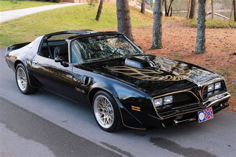 trans am 70 81